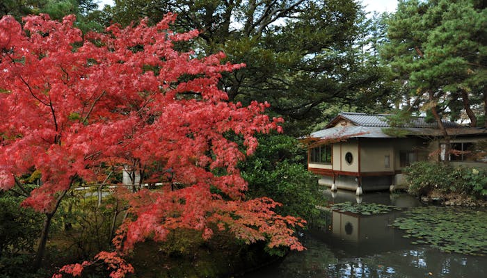 有名小説に登場する宿で 読書の秋を楽しむ 一休コンシェルジュ 有名小説に登場する宿で 読書の秋を楽しむ 一休コンシェルジュ