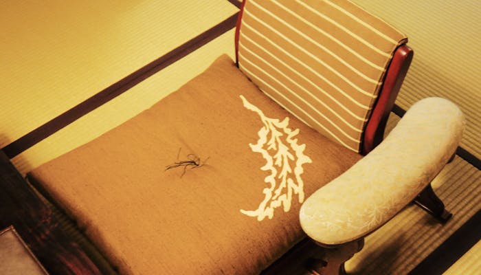 訪れる人の心を柔らかくほぐす京の宿 一休コンシェルジュ 訪れる人の心を柔らかくほぐす京の宿 一休コンシェルジュ