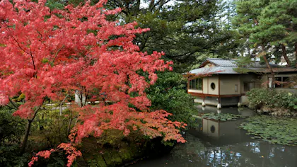 有名小説に登場する宿で、読書の秋を楽しむ