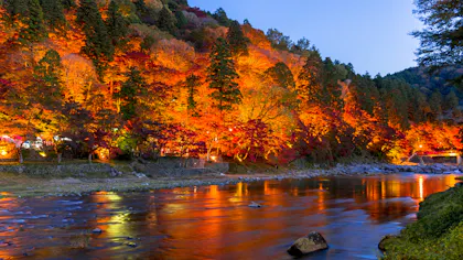 秋だけの絶景に出会う旅