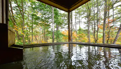 一度は泊まりたい泉質自慢の宿（東日本編）