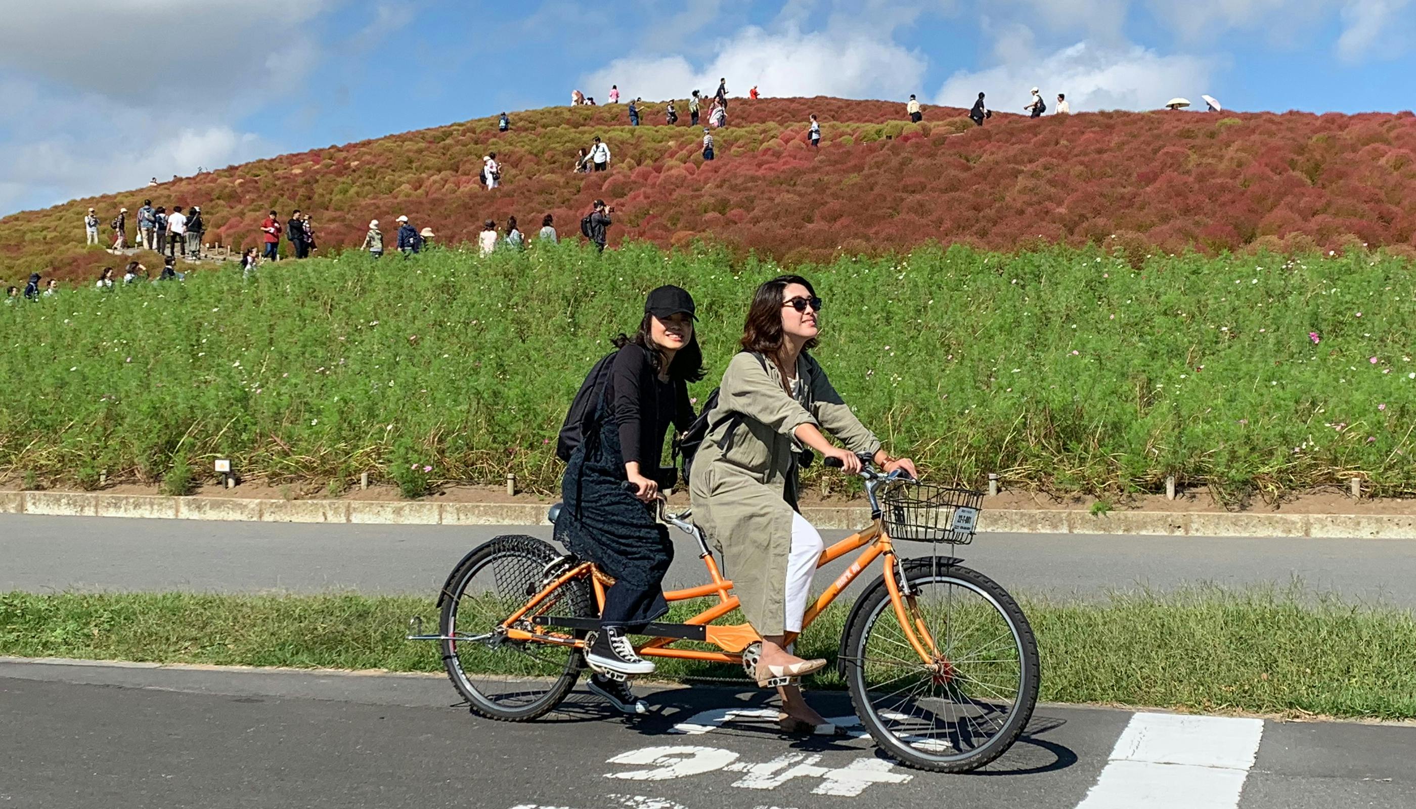 茨城の絶景を巡る旅  一休コンシェルジュ