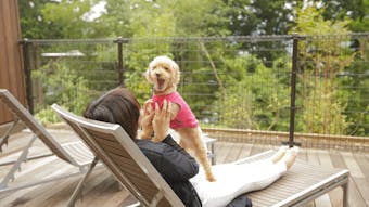 2018年10月開業!箱根・仙石原で愛犬と寛げる宿