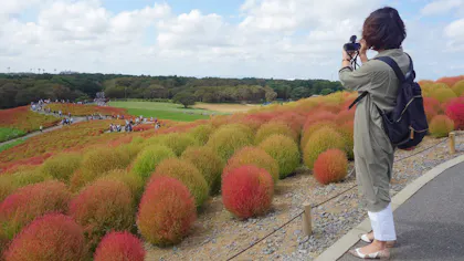 茨城の絶景を巡る旅