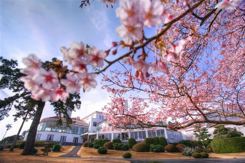 春の風物詩、桜を愛でる宿特集
