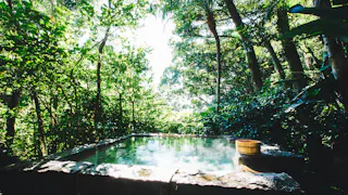 【取材】また行きたくなる天草の名宿「五足のくつ」の魅力に迫る