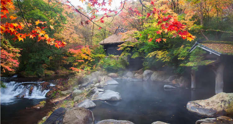 黒川温泉 山あいの宿 山みず木