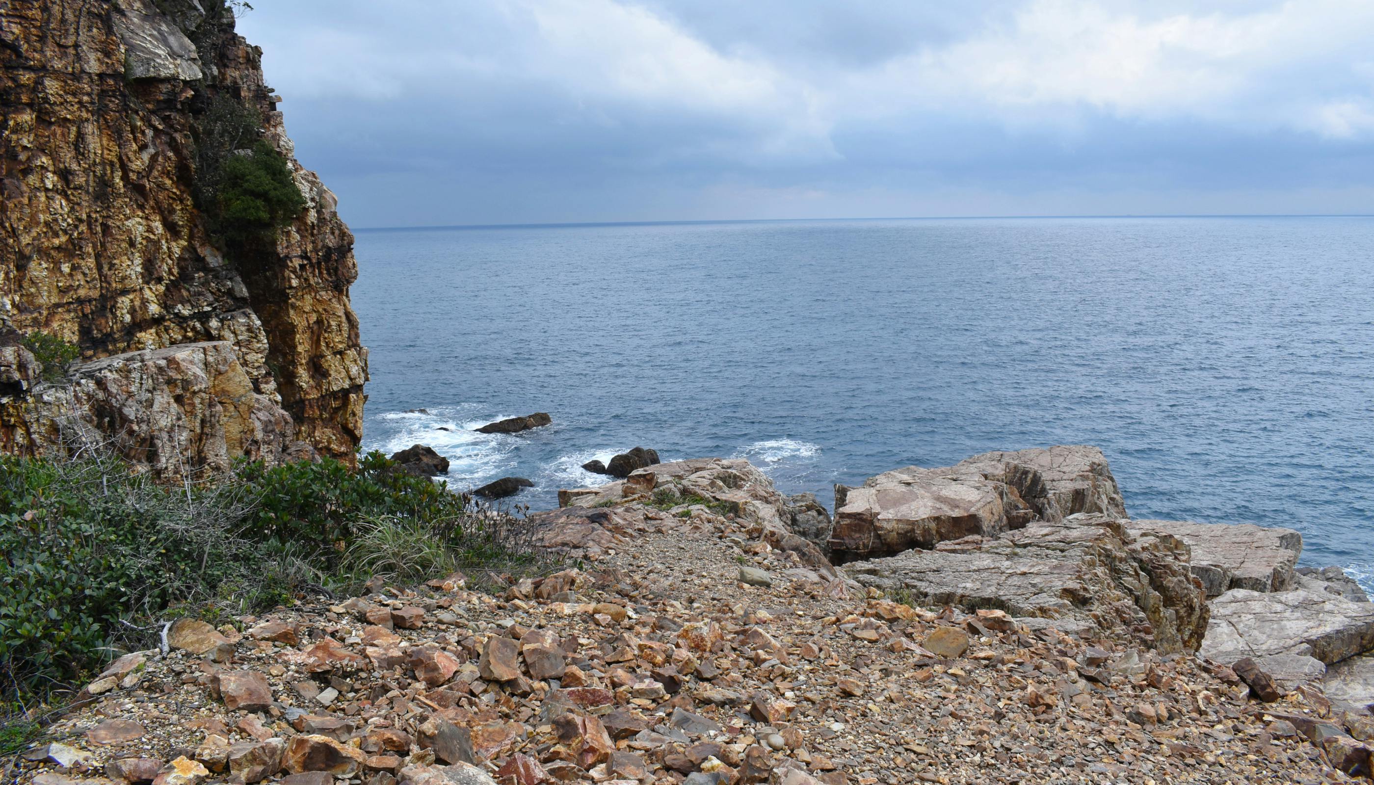 コラム】世界自然遺産「屋久島」を巡る旅 | 一休コンシェルジュ