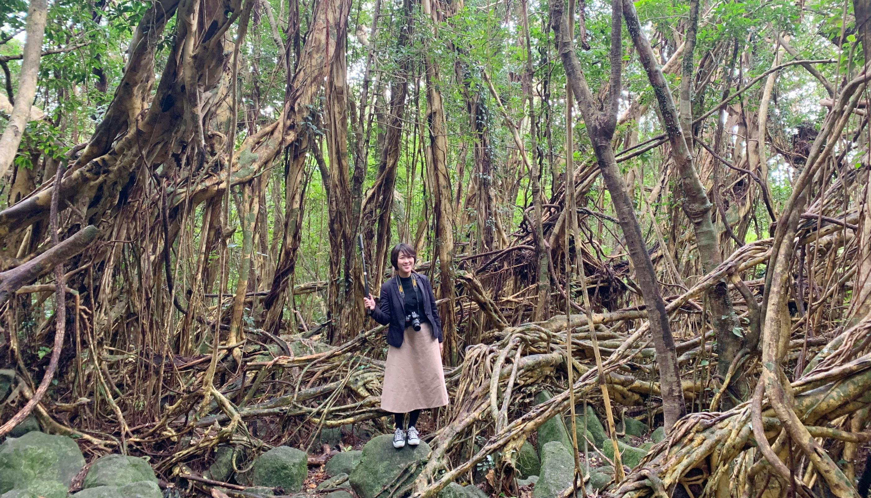 だれる 知らない 屋久島 A 31-year-old solo traveler to Yakushima. A 22km round trip