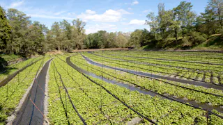 のどかな安曇野で緑に憩い、美味にときめく