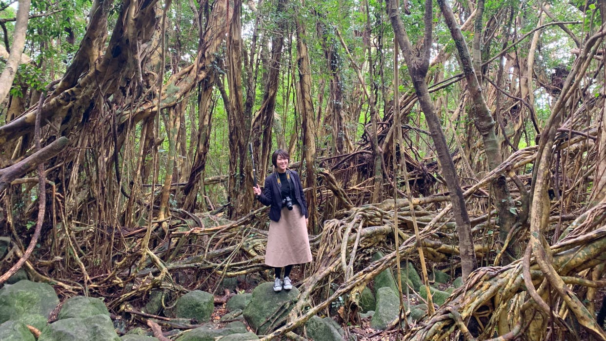 【コラム】世界自然遺産「屋久島」を巡る旅