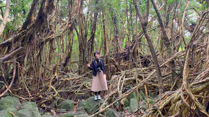 【コラム】世界自然遺産「屋久島」を巡る旅