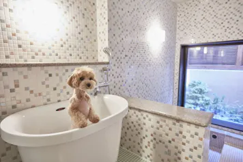 愛犬と軽井沢を満喫する至れり尽くせりのホテル