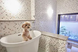 愛犬と軽井沢を満喫する至れり尽くせりのホテル