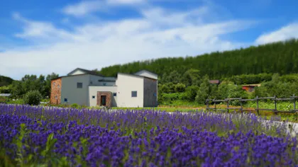 夏に行きたい、北海道の魅力を存分に味わう旅