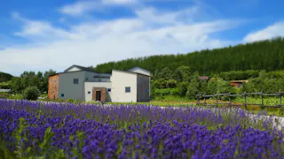 夏に行きたい、北海道の魅力を存分に味わう旅