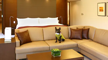 【全国版】ペットと一緒に泊まれるおすすめの宿特集