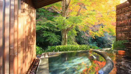 晩秋を満喫！一休社員に聞いた客室露天風呂から紅葉が見える宿