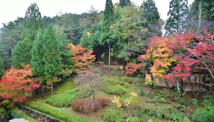 晩秋を満喫 一休社員に聞いた客室露天風呂から紅葉が見える宿 一休コンシェルジュ 晩秋を満喫 一休社員に聞いた客室露天風呂から紅葉が見える宿 一休コンシェルジュ