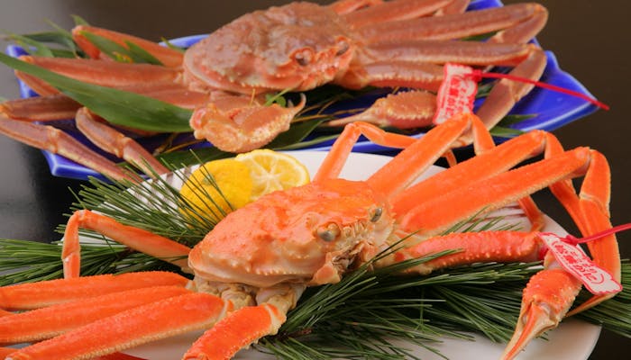 いま行きたい絶品の カニ料理 を満喫できる温泉宿6選 一休コンシェルジュ いま行きたい絶品の カニ料理 を満喫できる温泉宿6選 一休コンシェルジュ