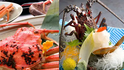 あなたはどっち派？