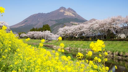 亀の井別荘 由布院 玉の湯 がおすすめする 春の由布院の過ごし方 一休コンシェルジュ