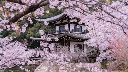 京都観光のプロに聞いた！とっておきの京都 穴場観光スポット　春編