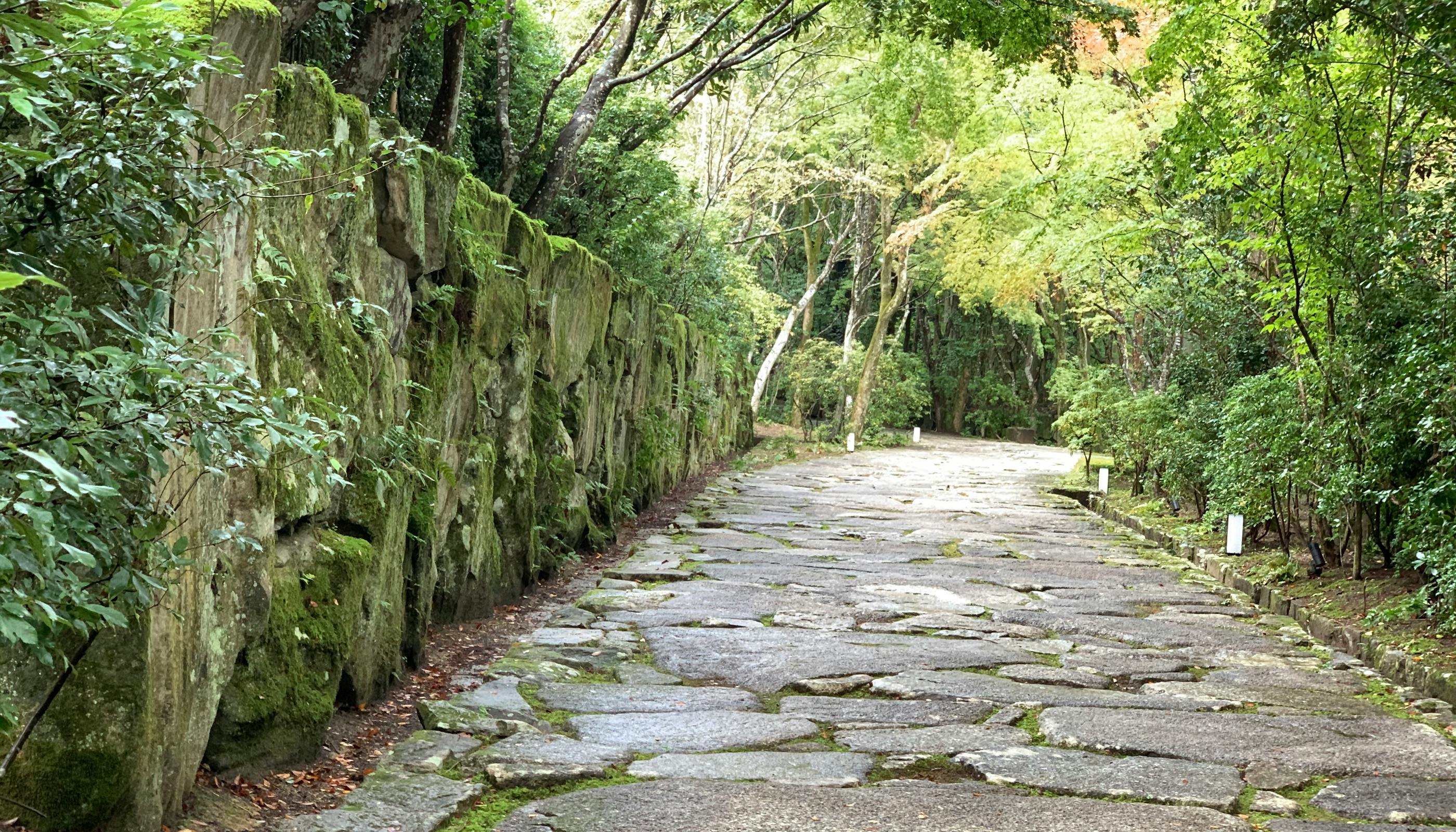 憧れの「アマン」、東京、京都、伊勢志摩で出会う世界トップクラスの