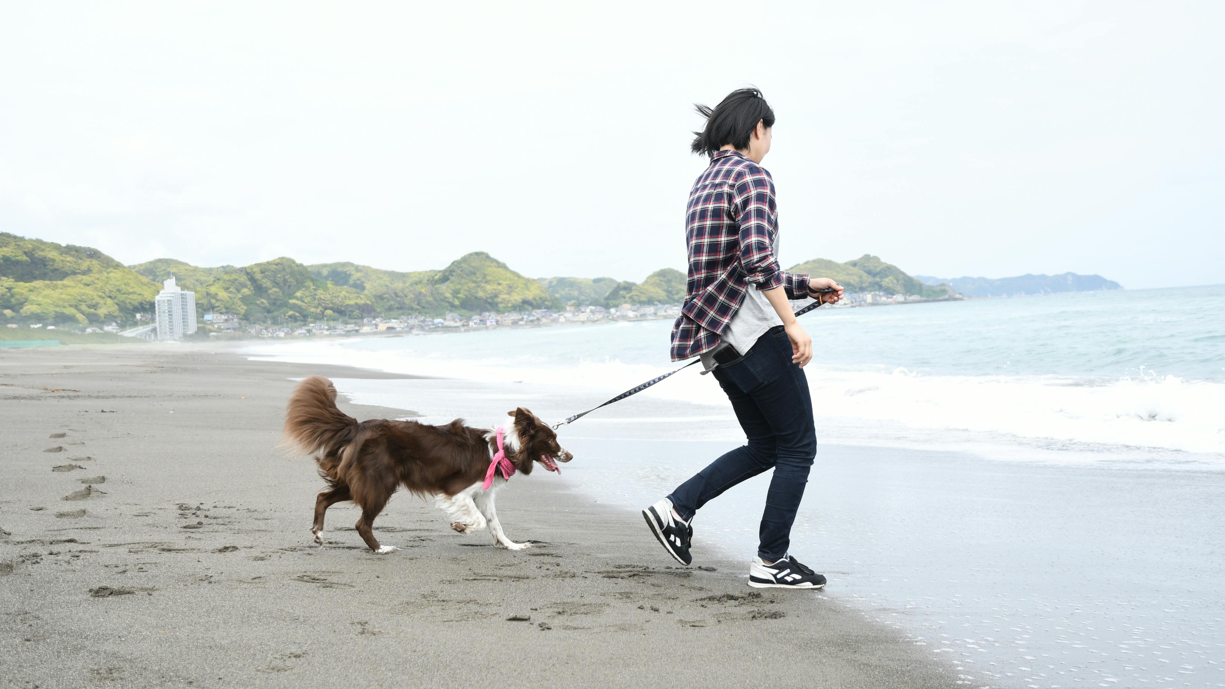 砂浜で愛犬との散歩が叶う海岸近くのペットと泊まれる宿