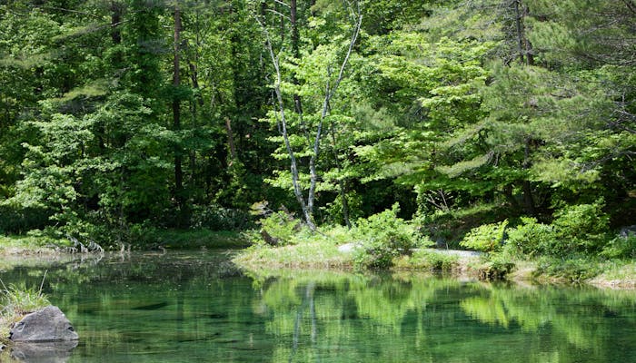 自然豊かな国立公園の中にある宿 東日本編 一休コンシェルジュ