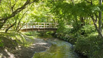 「亀の井別荘」「由布院 玉の湯」がお薦めする、夏の由布院の過ごし方
