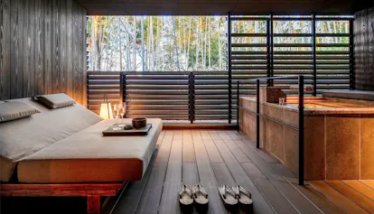 2020年6月、奈良公園内に全室露天風呂付ラグジュアリーホテルが誕生