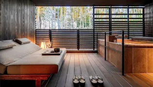 2020年6月、奈良公園内に全室露天風呂付ラグジュアリーホテルが誕生