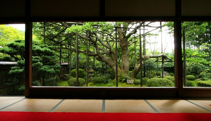 京都観光のプロに聞いた とっておきの京都 穴場観光スポット 夏編 一休コンシェルジュ 京都観光のプロに聞いた とっておきの京都 穴場観光スポット 夏編 一休コンシェルジュ