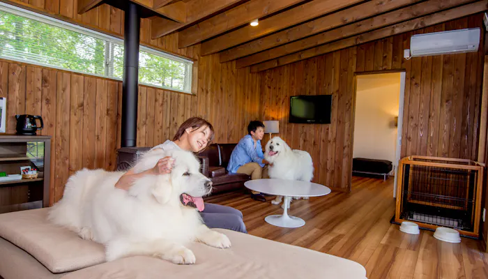 ペットと一緒に泊まれる軽井沢のリゾートホテル5選 一休コンシェルジュ