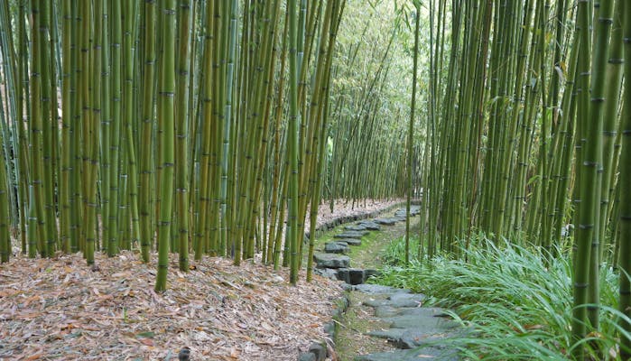 京都観光のプロに聞いた とっておきの京都 穴場観光スポット 夏編 一休コンシェルジュ