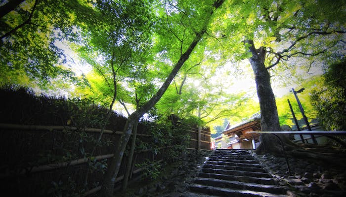 京都観光のプロに聞いた とっておきの京都 穴場観光スポット 夏編 一休コンシェルジュ 京都観光のプロに聞いた とっておきの京都 穴場観光スポット 夏編 一休コンシェルジュ