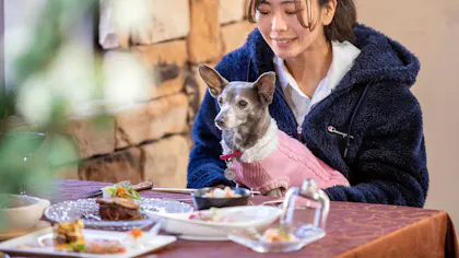 ペットと一緒に美食体験が叶う露天風呂付客室のある宿5選