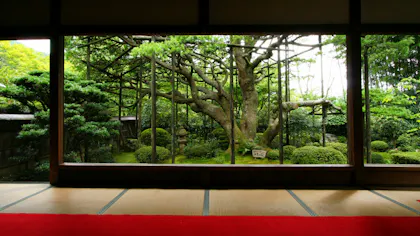 京都観光のプロに聞いた！とっておきの京都 穴場観光スポット　夏編