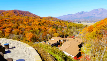 【箱根・軽井沢・那須】東京から2時間の紅葉が楽しめるおすすめ宿7選