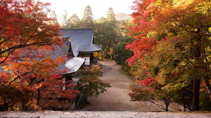 3つの“密”を避けて特別な体験を！とっておきの京都 観光スポット 秋編