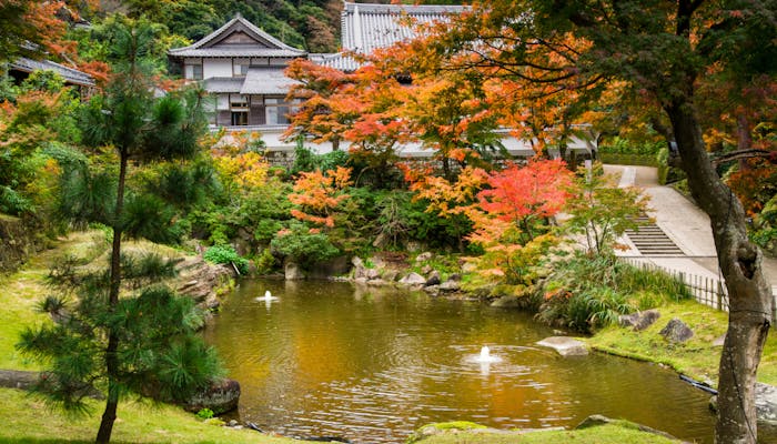 秋に鎌倉観光するならどこがいい プロ中のプロに聞いてみた 一休コンシェルジュ 秋に鎌倉観光するならどこがいい プロ中のプロに聞いてみた 一休コンシェルジュ