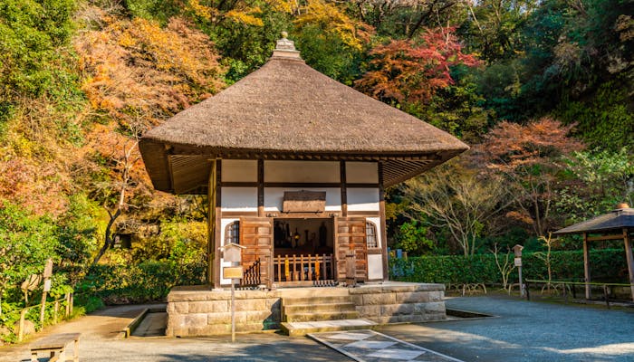 秋に鎌倉観光するならどこがいい プロ中のプロに聞いてみた 一休コンシェルジュ 秋に鎌倉観光するならどこがいい プロ中のプロに聞いてみた 一休コンシェルジュ