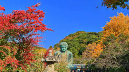 「秋に鎌倉観光するならどこがいい？」プロ中のプロに聞いてみた