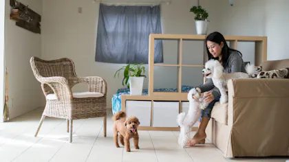 ペットと一緒に泊まれる宿6選　千葉編