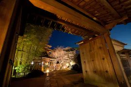 全9室、奈良公園の中に佇む創業百余年の純和風宿「四季亭」