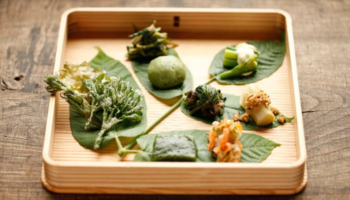 春 の味覚を堪能する山菜料理がおいしい宿5選 一休コンシェルジュ 春 の味覚を堪能する山菜料理がおいしい宿5選 一休コンシェルジュ