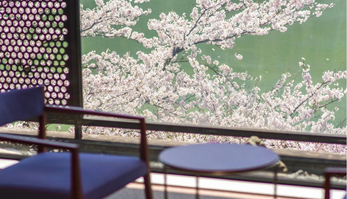 満開の桜を独り占め！お部屋から桜が見える宿 西日本編  一休 