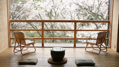 満開の桜を独り占め！お部屋から桜が見える宿　西日本編