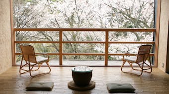 満開の桜を独り占め!お部屋から桜が見える宿 西日本編